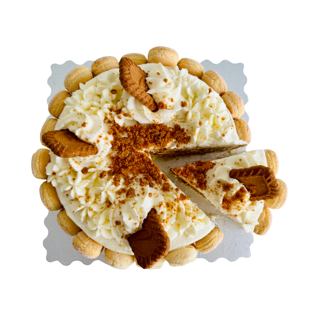 Tiramisu dessert with whipped cream and cookies on a white background